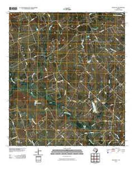 Deanville Texas Historical topographic map, 1:24000 scale, 7.5 X 7.5 Minute, Year 2010
