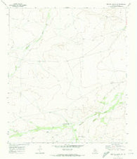 Deep Well Ranch SE Texas Historical topographic map, 1:24000 scale, 7.5 X 7.5 Minute, Year 1970