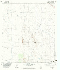 Deer Peak Texas Historical topographic map, 1:24000 scale, 7.5 X 7.5 Minute, Year 1983