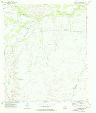 Delaware Spring Texas Historical topographic map, 1:24000 scale, 7.5 X 7.5 Minute, Year 1973