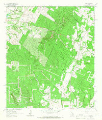 Delhi Texas Historical topographic map, 1:24000 scale, 7.5 X 7.5 Minute, Year 1964