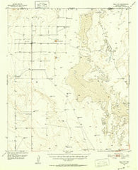 Dell City Texas Historical topographic map, 1:62500 scale, 15 X 15 Minute, Year 1951