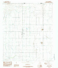 Dell City Texas Historical topographic map, 1:24000 scale, 7.5 X 7.5 Minute, Year 1984