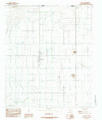 Dell City Texas Historical topographic map, 1:24000 scale, 7.5 X 7.5 Minute, Year 1984
