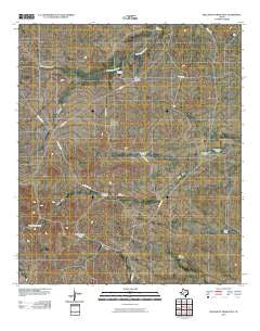 Dellahunt Draw East Texas Historical topographic map, 1:24000 scale, 7.5 X 7.5 Minute, Year 2010