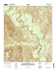 Denson Springs Texas Current topographic map, 1:24000 scale, 7.5 X 7.5 Minute, Year 2016