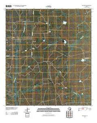 Dentonio Texas Historical topographic map, 1:24000 scale, 7.5 X 7.5 Minute, Year 2010