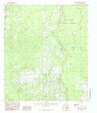 Deserter Baygall Texas Historical topographic map, 1:24000 scale, 7.5 X 7.5 Minute, Year 1984