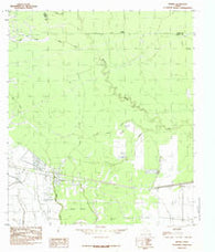 Devers Texas Historical topographic map, 1:24000 scale, 7.5 X 7.5 Minute, Year 1984