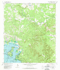 Devils Backbone Texas Historical topographic map, 1:24000 scale, 7.5 X 7.5 Minute, Year 1989