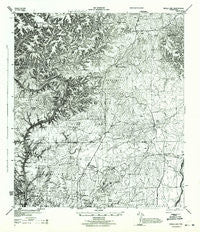 Devils Lake Texas Historical topographic map, 1:62500 scale, 15 X 15 Minute, Year 1944
