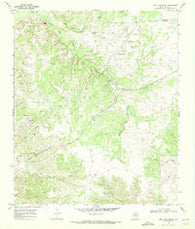 Dew Drop Creek Texas Historical topographic map, 1:24000 scale, 7.5 X 7.5 Minute, Year 1969
