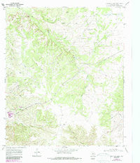 Dew Drop Creek Texas Historical topographic map, 1:24000 scale, 7.5 X 7.5 Minute, Year 1969