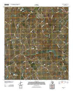 Dewees Texas Historical topographic map, 1:24000 scale, 7.5 X 7.5 Minute, Year 2010