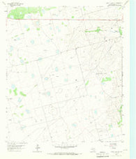 Dewey Lake SE Texas Historical topographic map, 1:24000 scale, 7.5 X 7.5 Minute, Year 1965