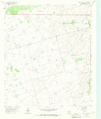 Dewey Lake SE Texas Historical topographic map, 1:24000 scale, 7.5 X 7.5 Minute, Year 1965