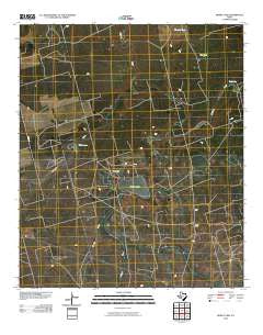 Dewey Lake Texas Historical topographic map, 1:24000 scale, 7.5 X 7.5 Minute, Year 2010