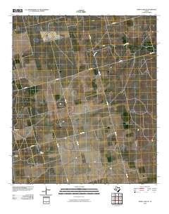 Dewey Lake SE Texas Historical topographic map, 1:24000 scale, 7.5 X 7.5 Minute, Year 2010