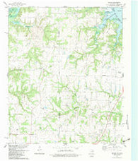 Dexter Texas Historical topographic map, 1:24000 scale, 7.5 X 7.5 Minute, Year 1982