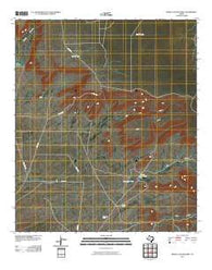 Diablo Canyon West Texas Historical topographic map, 1:24000 scale, 7.5 X 7.5 Minute, Year 2010