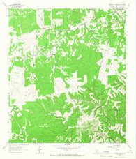 Diamond S Ranch Texas Historical topographic map, 1:24000 scale, 7.5 X 7.5 Minute, Year 1964