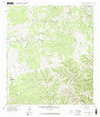 Diamond S Ranch Texas Historical topographic map, 1:24000 scale, 7.5 X 7.5 Minute, Year 1964