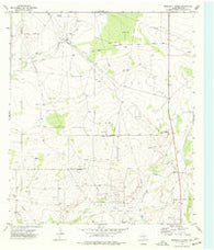 Diamond Y Spring Texas Historical topographic map, 1:24000 scale, 7.5 X 7.5 Minute, Year 1974