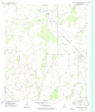 Diamond Y Spring SE Texas Historical topographic map, 1:24000 scale, 7.5 X 7.5 Minute, Year 1974