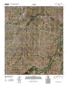 Diamond Y Spring Texas Historical topographic map, 1:24000 scale, 7.5 X 7.5 Minute, Year 2010