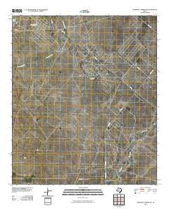Diamond Y Spring NE Texas Historical topographic map, 1:24000 scale, 7.5 X 7.5 Minute, Year 2010