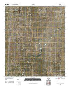 Diamond Y Spring NW Texas Historical topographic map, 1:24000 scale, 7.5 X 7.5 Minute, Year 2010