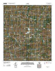 Dilworth Texas Historical topographic map, 1:24000 scale, 7.5 X 7.5 Minute, Year 2010