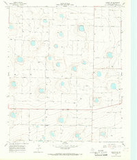 Dimmitt SW Texas Historical topographic map, 1:24000 scale, 7.5 X 7.5 Minute, Year 1965