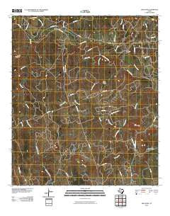 Ding Dong Texas Historical topographic map, 1:24000 scale, 7.5 X 7.5 Minute, Year 2010