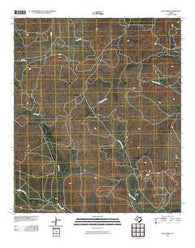 Dog Creek Texas Historical topographic map, 1:24000 scale, 7.5 X 7.5 Minute, Year 2010