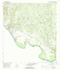 Dolores Ranch Texas Historical topographic map, 1:24000 scale, 7.5 X 7.5 Minute, Year 1965