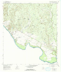 Dolores Ranch Texas Historical topographic map, 1:24000 scale, 7.5 X 7.5 Minute, Year 1965