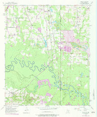 Domino Texas Historical topographic map, 1:24000 scale, 7.5 X 7.5 Minute, Year 1954