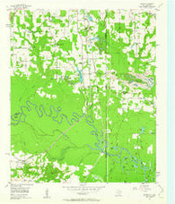 Domino Texas Historical topographic map, 1:24000 scale, 7.5 X 7.5 Minute, Year 1954
