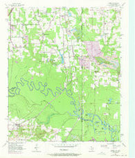 Domino Texas Historical topographic map, 1:24000 scale, 7.5 X 7.5 Minute, Year 1954