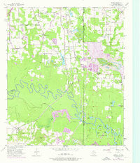 Domino Texas Historical topographic map, 1:24000 scale, 7.5 X 7.5 Minute, Year 1954