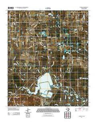 Domino Texas Historical topographic map, 1:24000 scale, 7.5 X 7.5 Minute, Year 2011