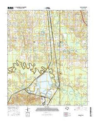 Domino Texas Current topographic map, 1:24000 scale, 7.5 X 7.5 Minute, Year 2016