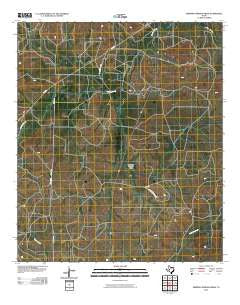 Dripping Springs Draw Texas Historical topographic map, 1:24000 scale, 7.5 X 7.5 Minute, Year 2010
