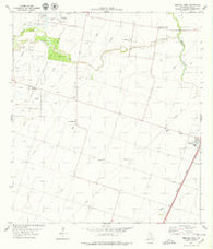 Driscoll West Texas Historical topographic map, 1:24000 scale, 7.5 X 7.5 Minute, Year 1978