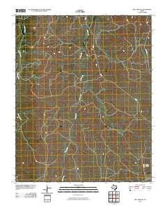 Dry Creek SE Texas Historical topographic map, 1:24000 scale, 7.5 X 7.5 Minute, Year 2010