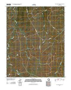Dry Creek South Texas Historical topographic map, 1:24000 scale, 7.5 X 7.5 Minute, Year 2010