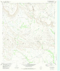 Duff Springs Texas Historical topographic map, 1:24000 scale, 7.5 X 7.5 Minute, Year 1983