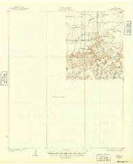 Dundee Texas Historical topographic map, 1:62500 scale, 15 X 15 Minute, Year 1932
