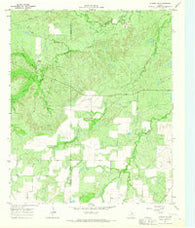 Dundee SW Texas Historical topographic map, 1:24000 scale, 7.5 X 7.5 Minute, Year 1963